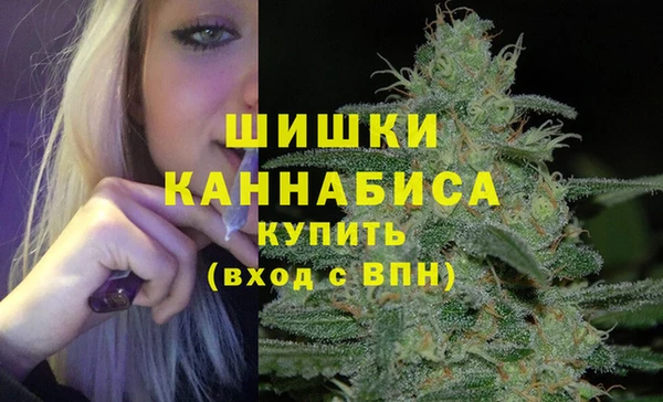 дживик Лабытнанги