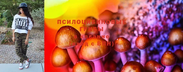 молекула духа Магас
