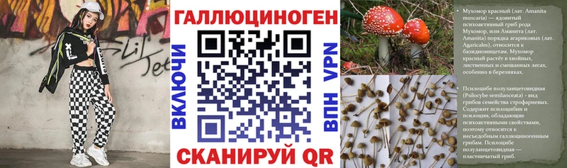 darknet клад  Алапаевск  Галлюциногенные грибы Psilocybe  кракен ссылки 